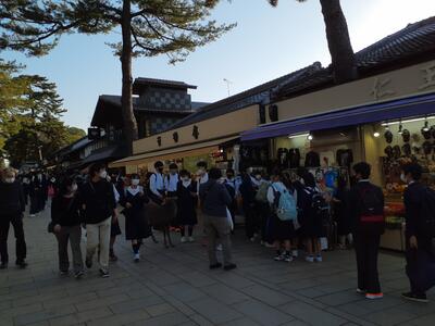 奈良公園、自由散策、まもなく終了