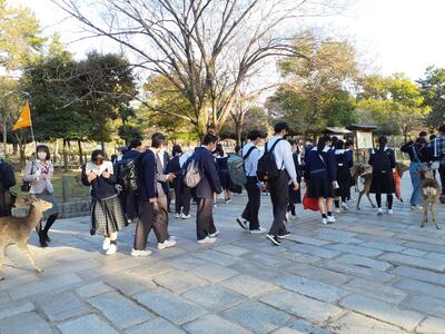 夕食会場へ移動開始