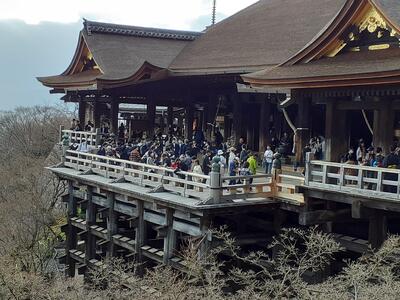 清水寺見学中の様子