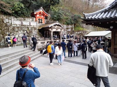 清水寺見学中の様子