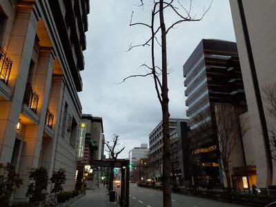 最終日の朝の京都の空の様子