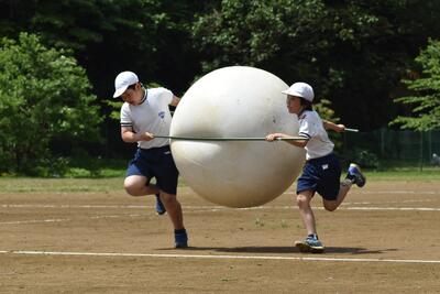 大玉運び